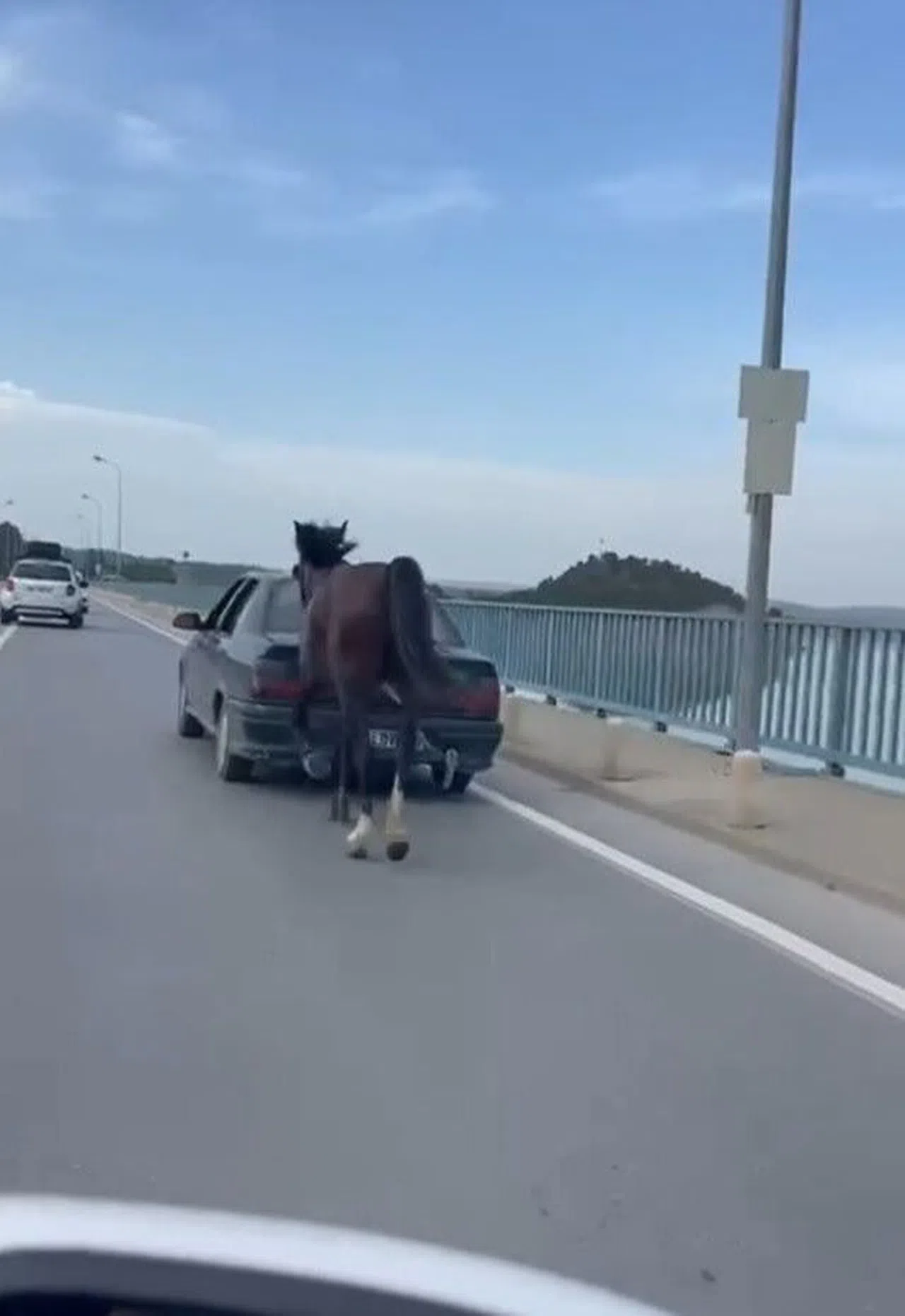 Atı Araca Bağlayarak Trafiğe Çıkan Sürücüye Ceza