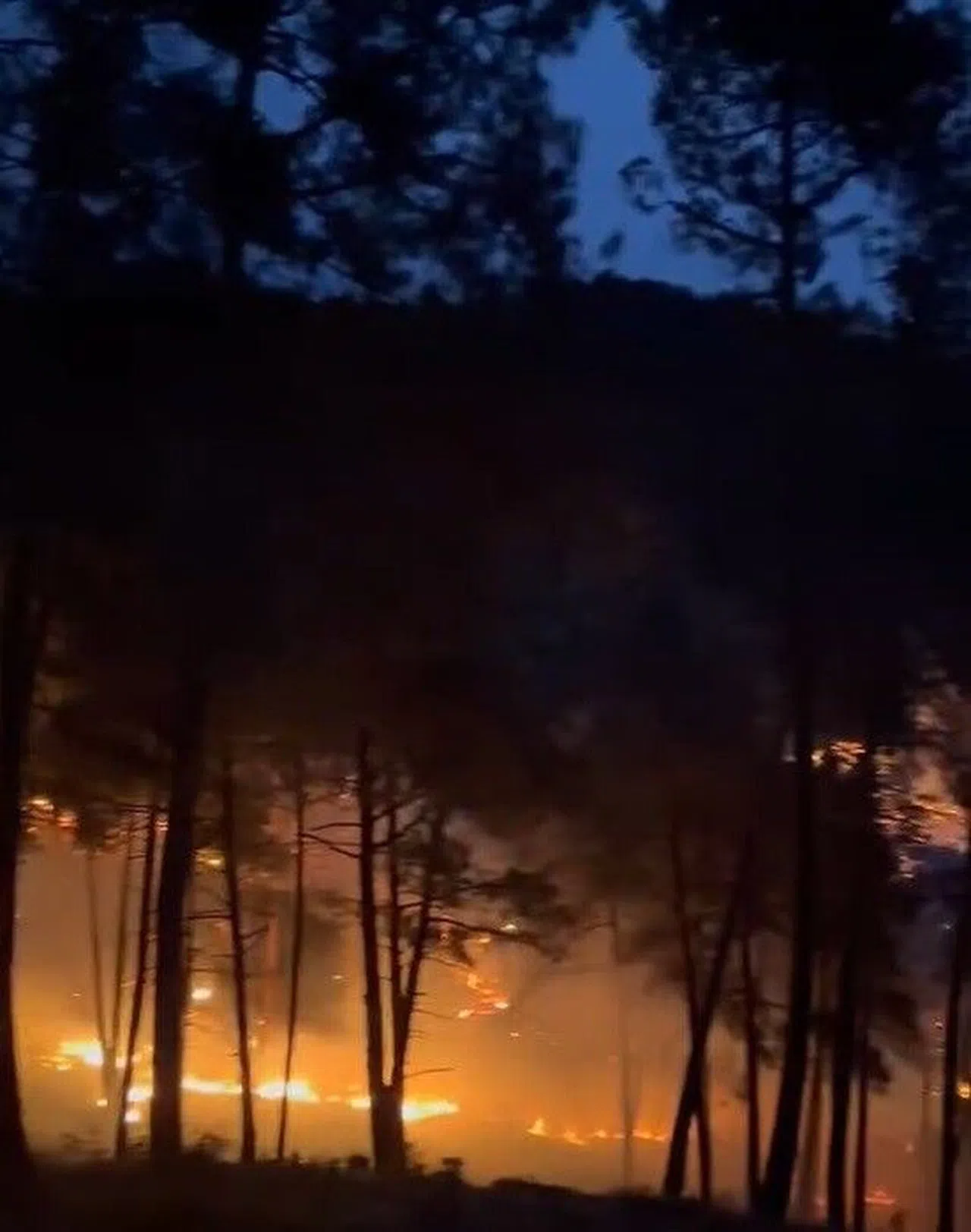 Orman Yangını Söndürüldü