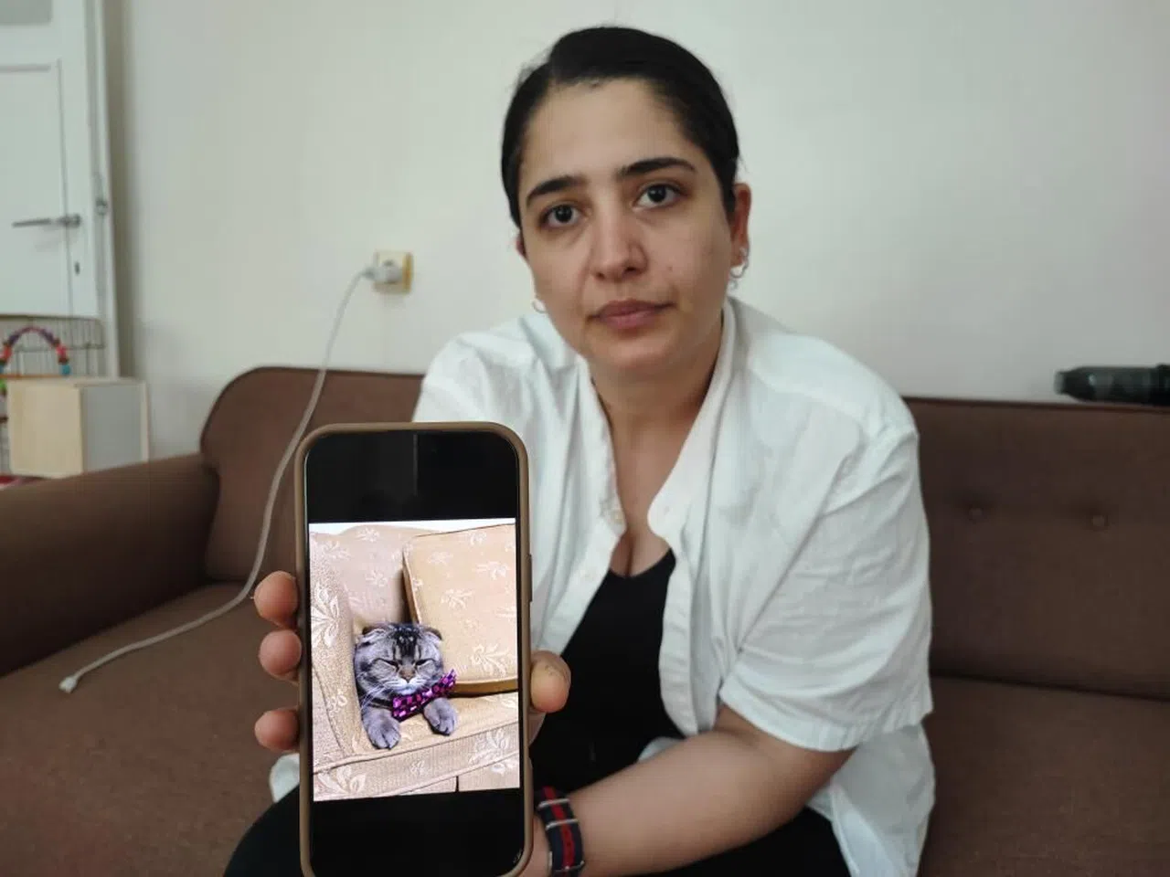 Kayıp kedi bulunmazsa kocası boşayacak