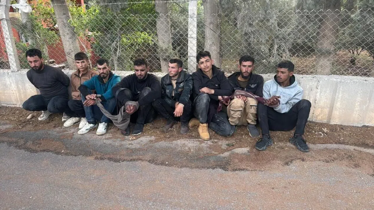 Araçların bagajlarından göçmen çıktı