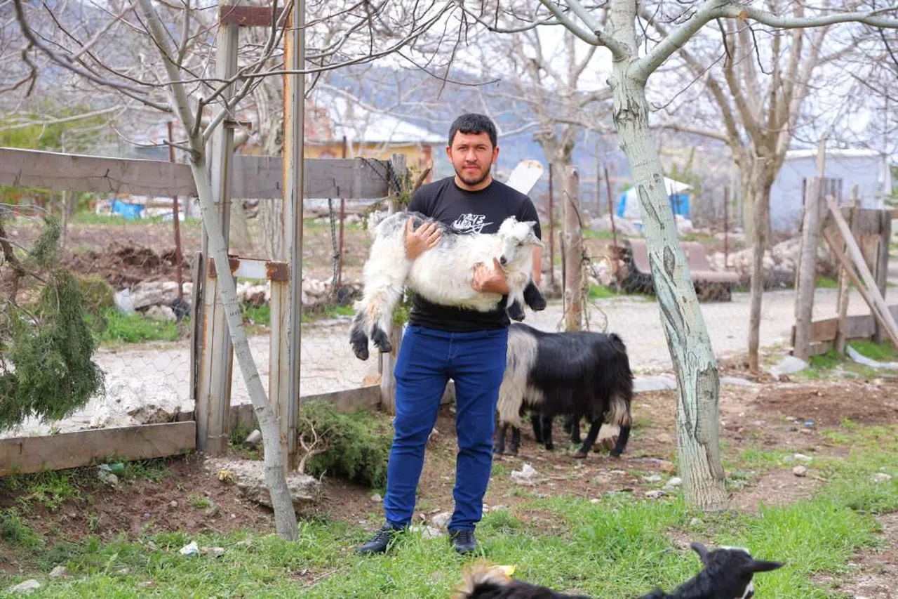 Kahramanmaraş'ta cevizi don vurunca, üreticileri farklı alanlara yöneldi