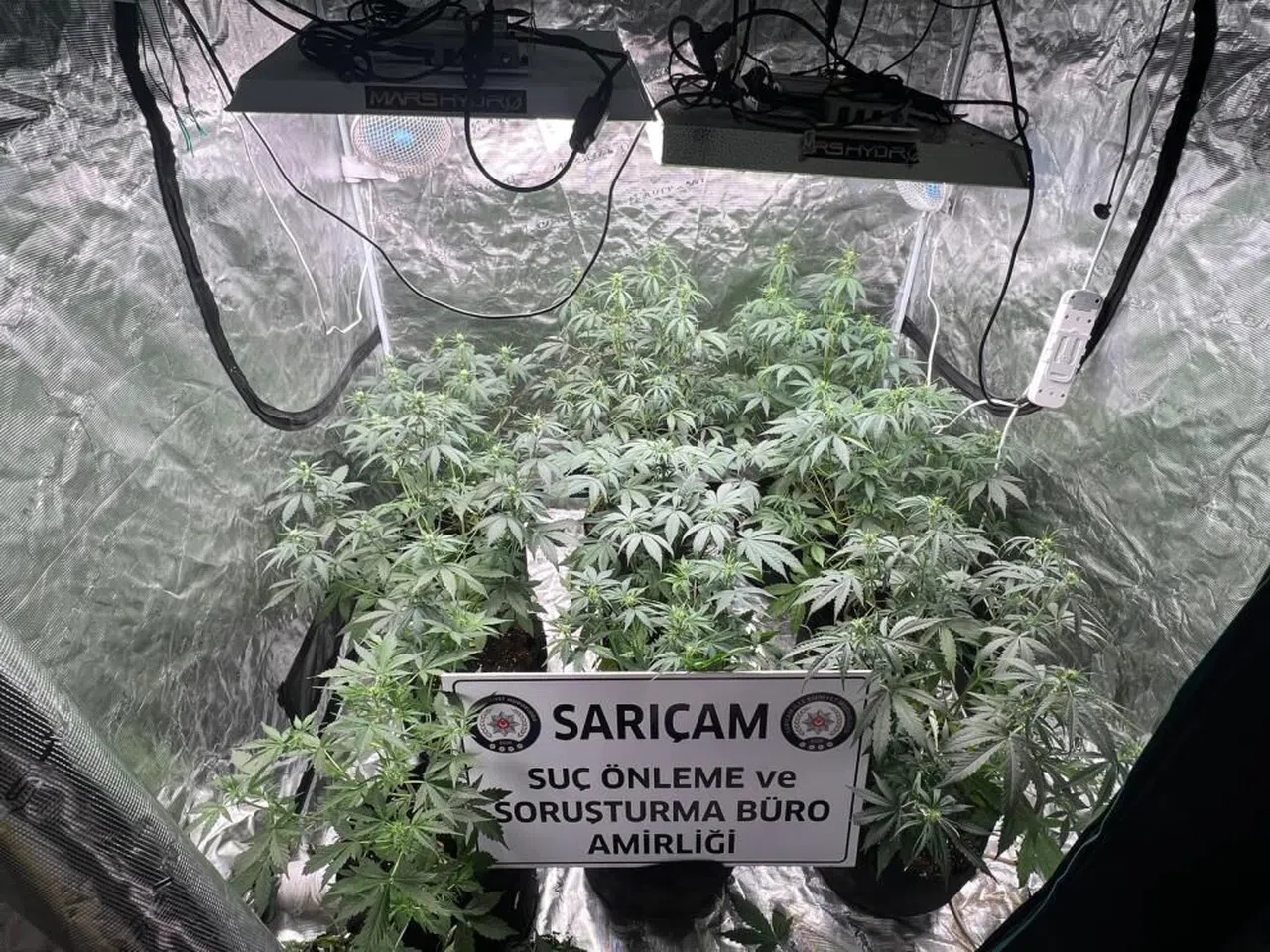 Apartman dairesine uyuşturucu serası kurmuşlar: 3 gözaltı