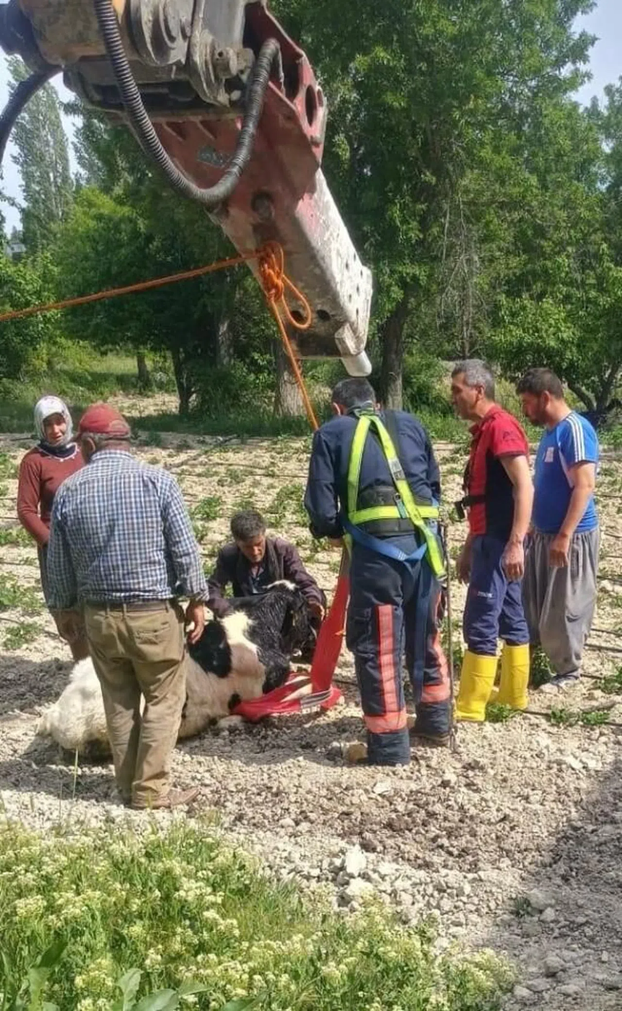 10 metrelik su kuyusuna düşen danayı itfaiye kurtardı