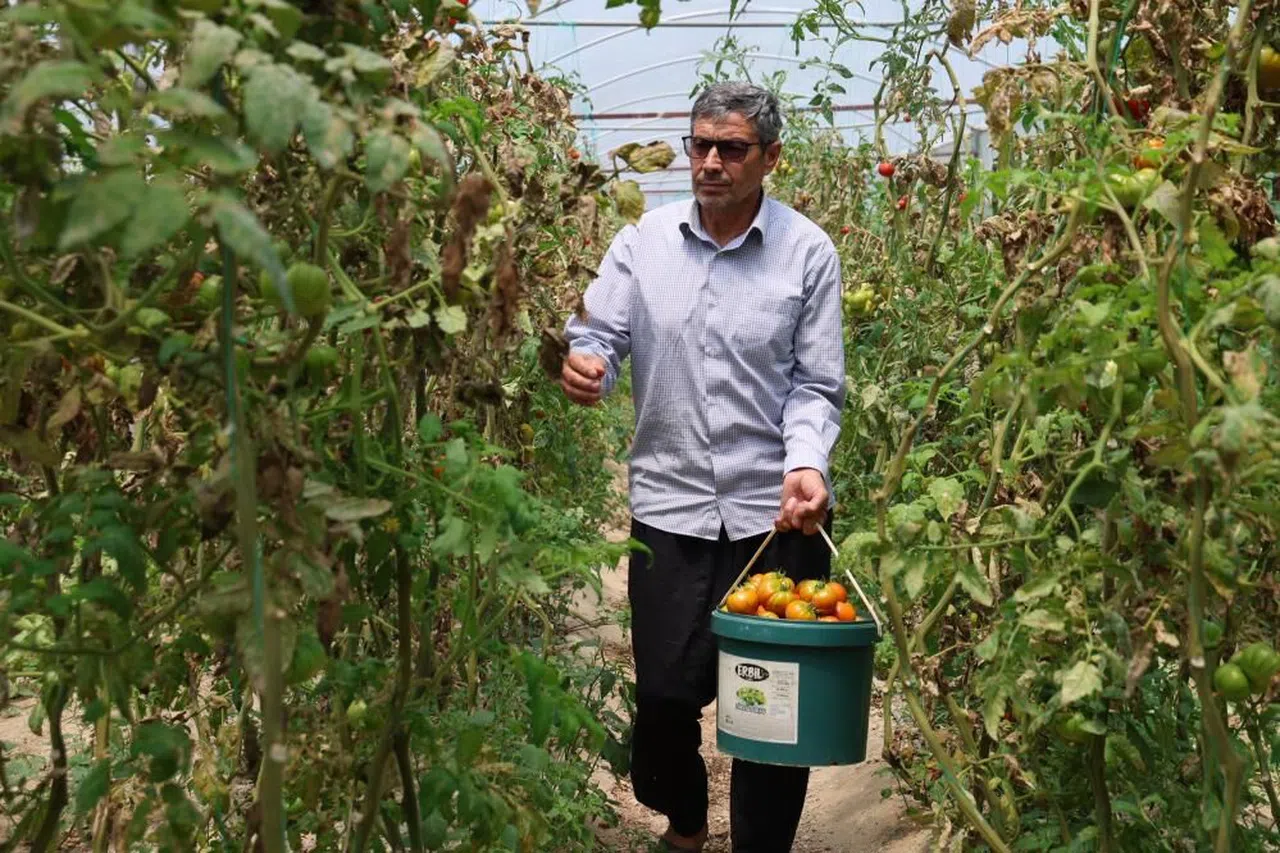 Yetiştirdiği ürünleri, aracısız satan çiftçinin yüzü güldü