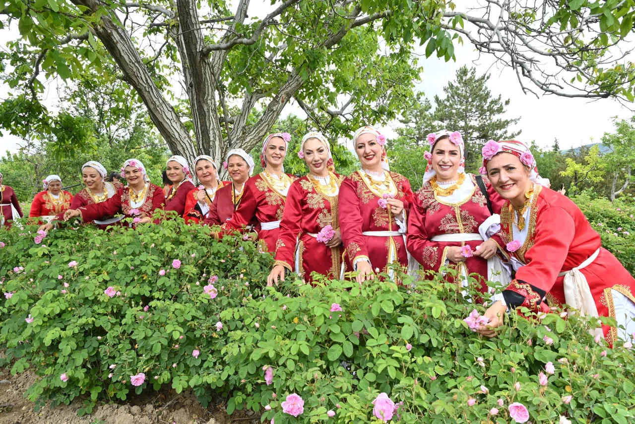 Gül Hasadı, Festival Coşkusunu Doruklara Taşıdı