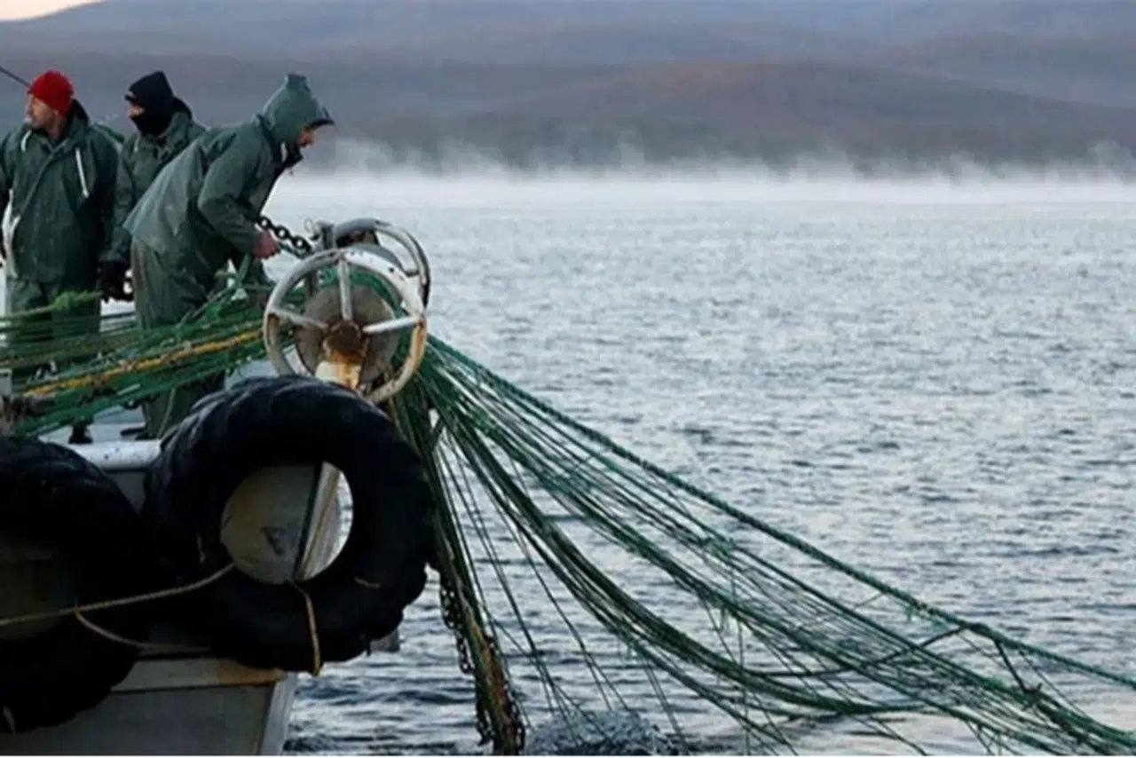 251 milyon liralık destek hesaplara yattı