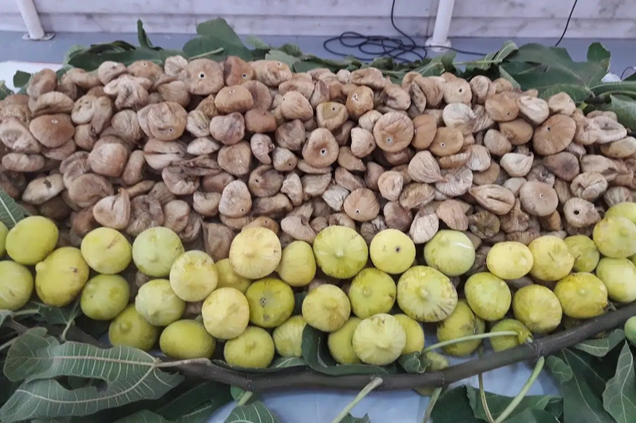 İngilizler kuru üzümün, Amerikalılar kuru kayısının peşinde!