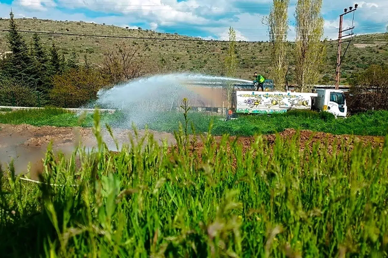 Kayseri Talas'ta haşerelere karşı erken önlem