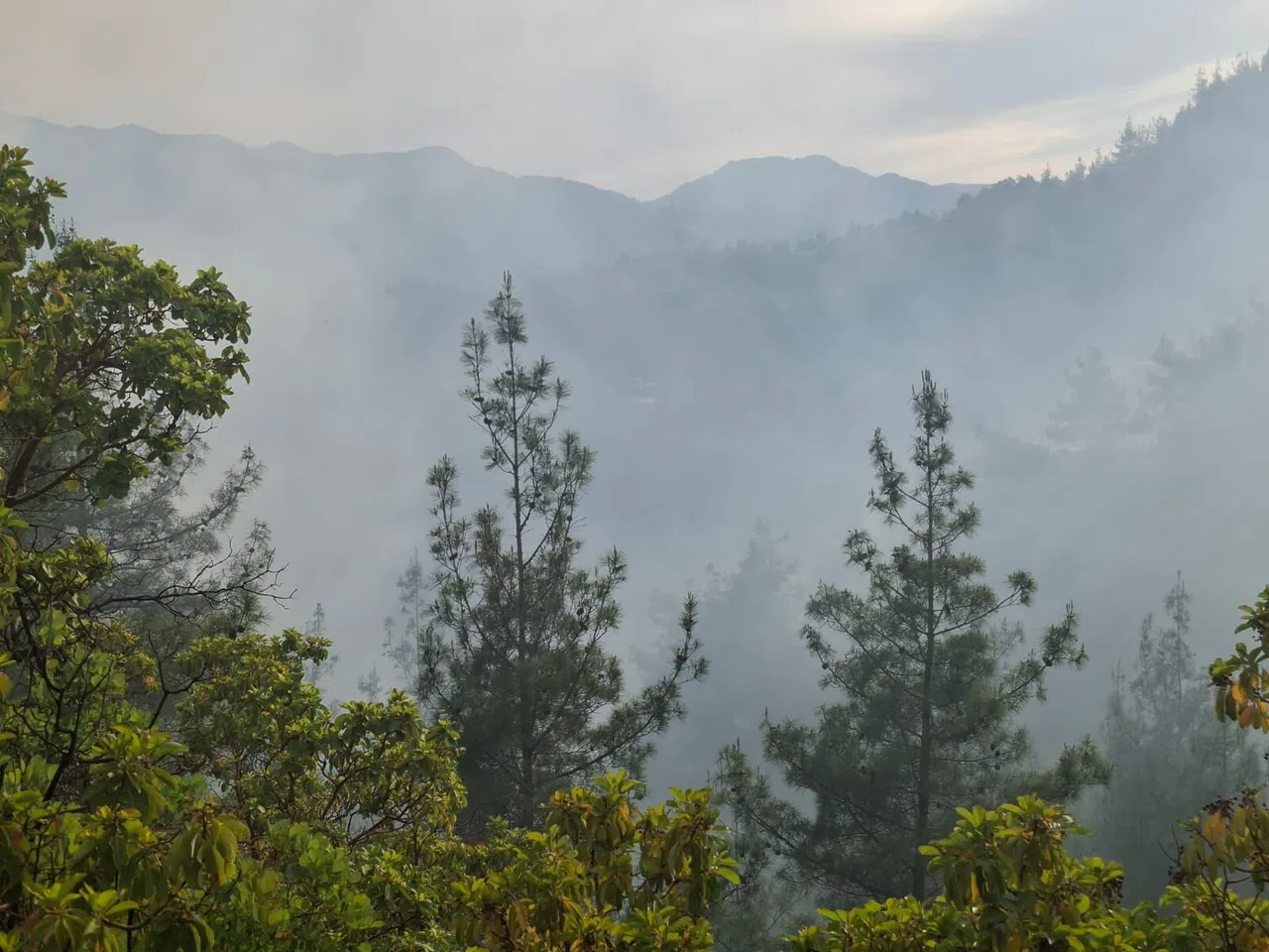 Kahramanmaraş'ta Orman Yangını Kontrol Altına Alındı, Soğutma Devam Ediyor