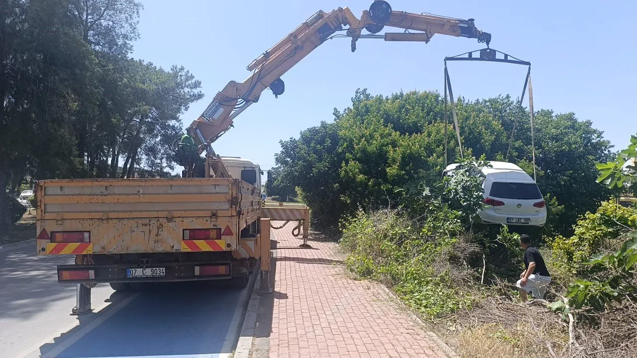 Bahçe Sahibinin İsyanı