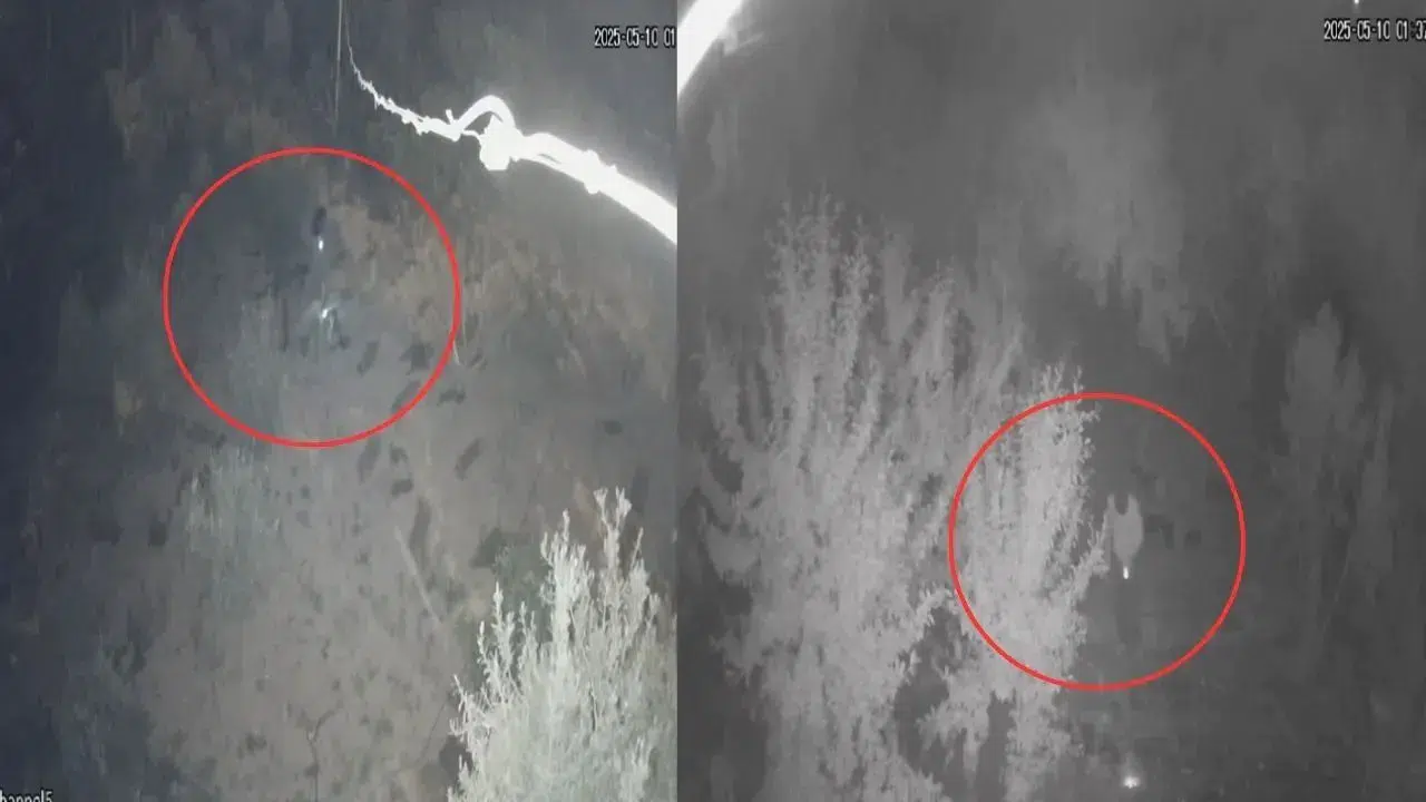 Kahramanmaraş’ta Kar Maskeli Biber Fidesi Hırsızı Kamerada