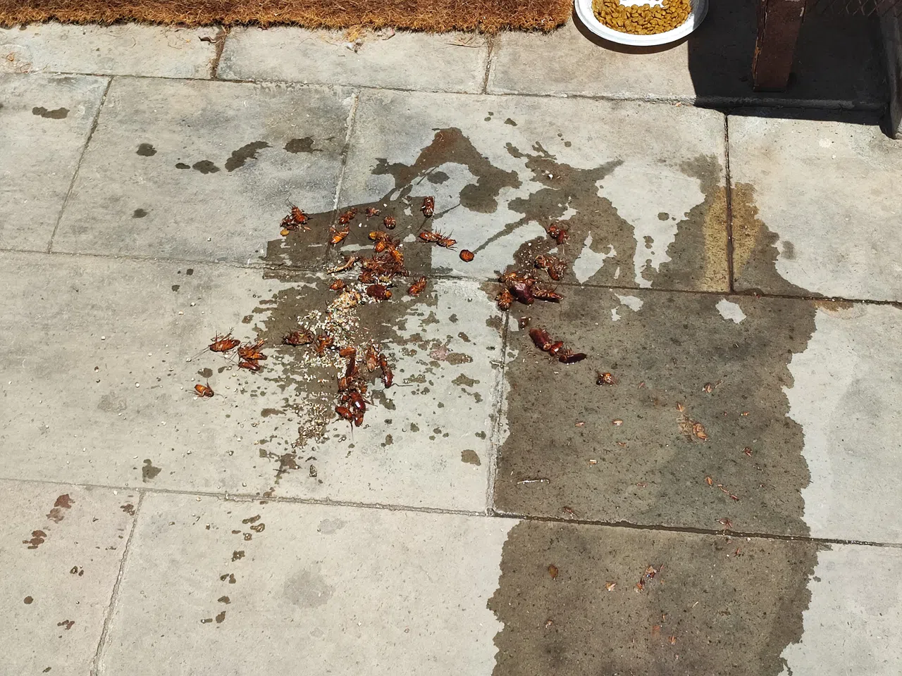 Büyükşehir Belediyesi Yetersiz Kaldı