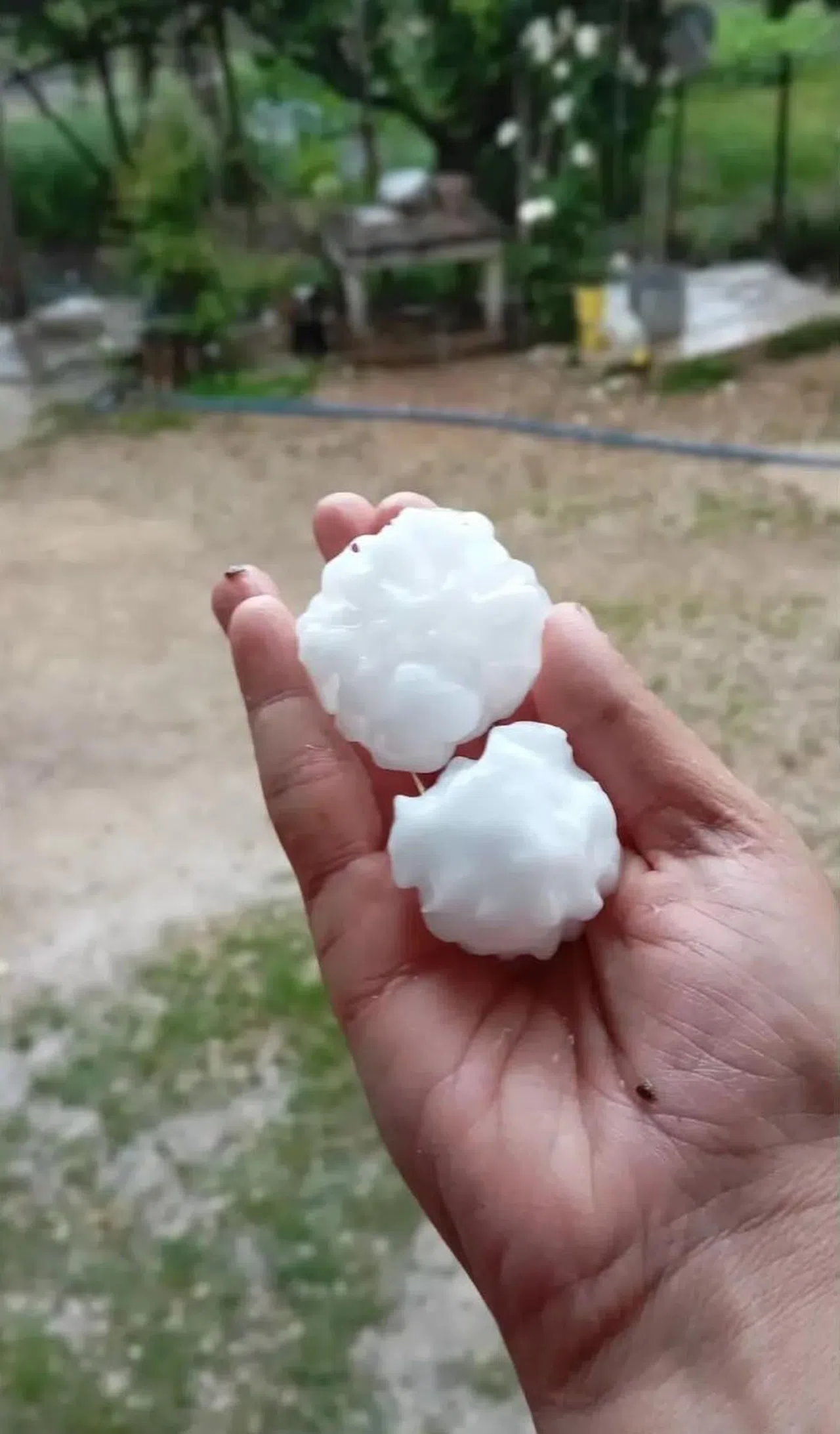 Ceviz Büyüklüğünde Dolu Yağdı