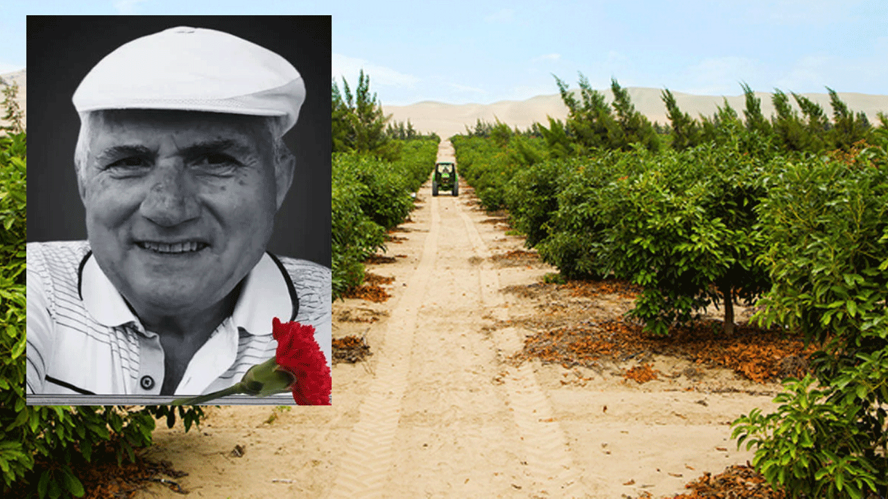 Eski belediye başkanı avokado bahçesinde ölü bulundu