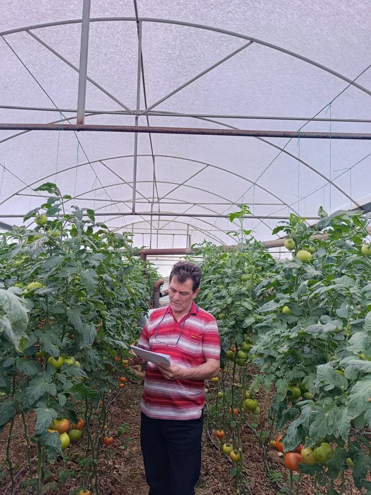 Dolu Tarım Arazilerine Zarar Verdi, Hasar Tespit Çalışması Başlatıldı