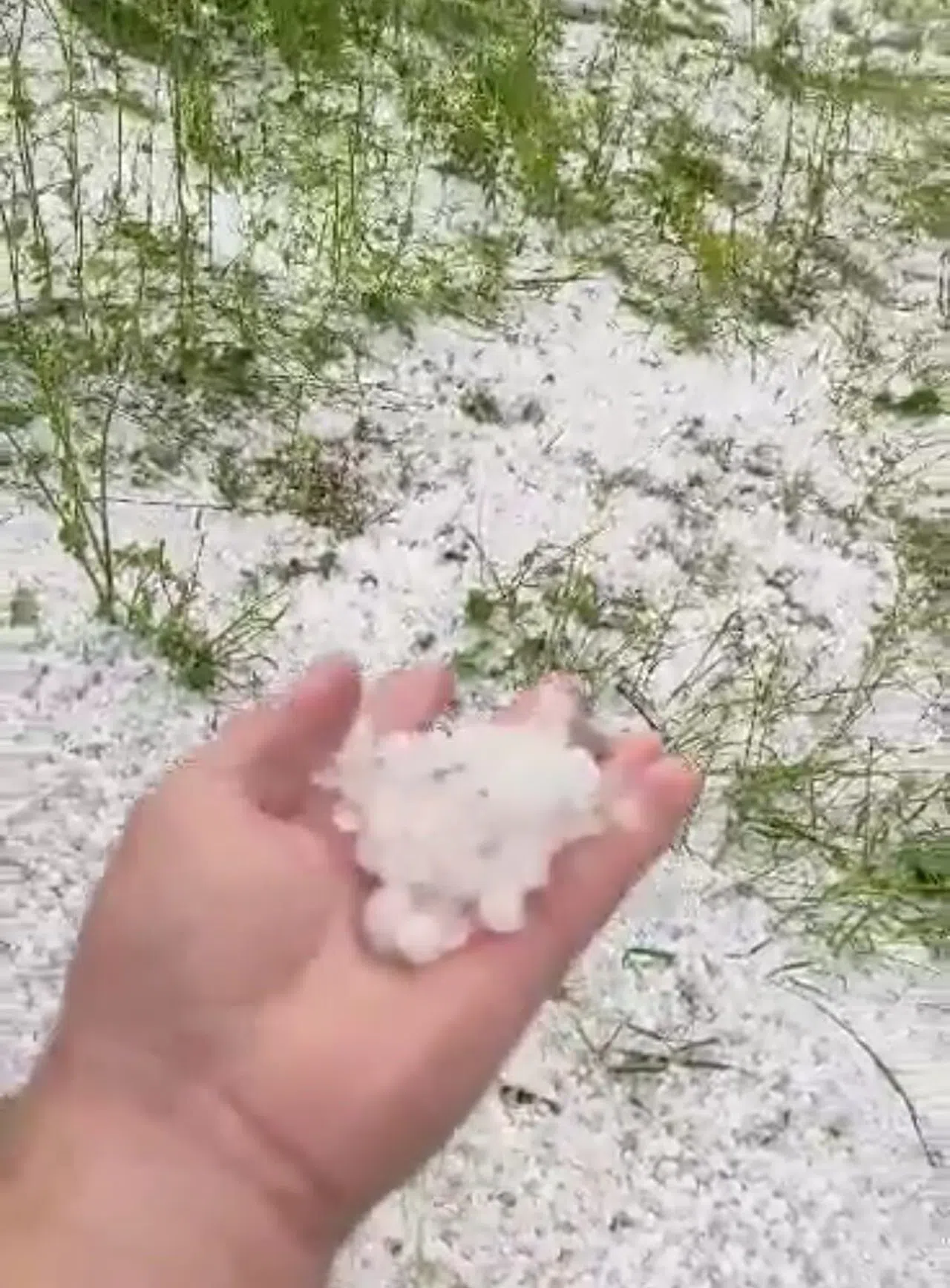 Dolu Yağışı Etkili Oldu