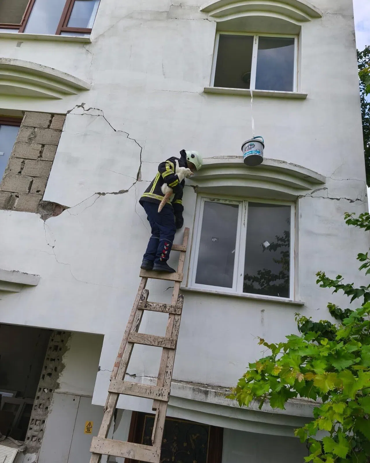 Hasarlı Binada Kedi Kurtarma Operasyonu
