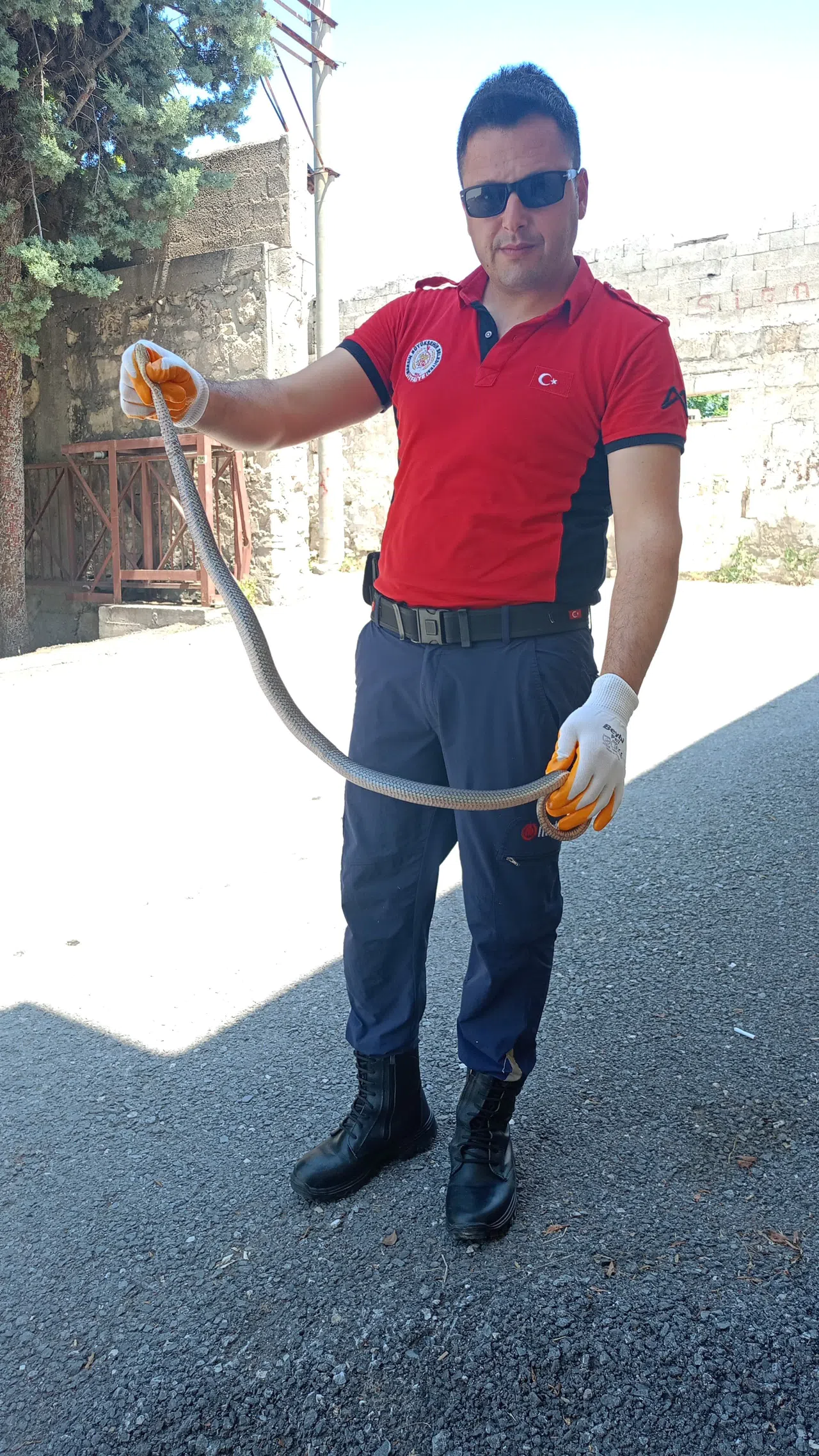 Hastane Bahçesinde Yılan Yakalandı