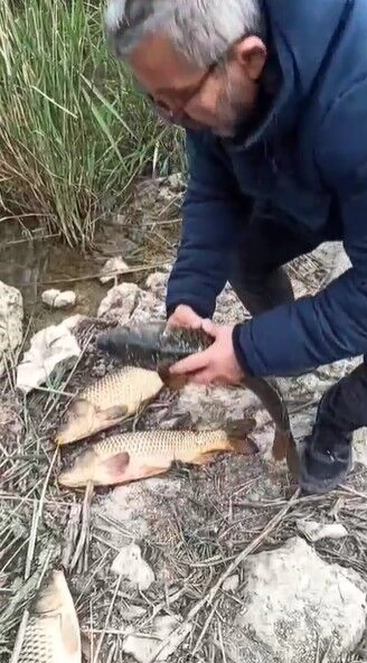 Kaçak Avcılara 176 Bin TL Ceza Uygulandı