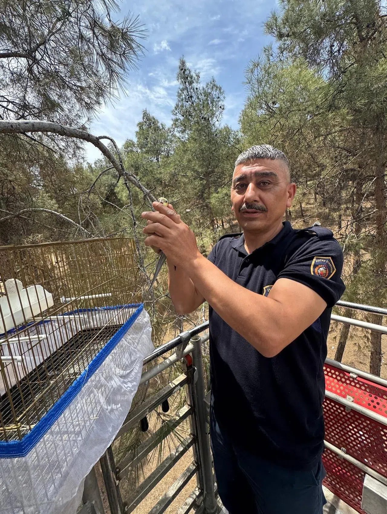 Kafesinden Kaçan Muhabbet Kuşunu İtfaiye Kurtardı