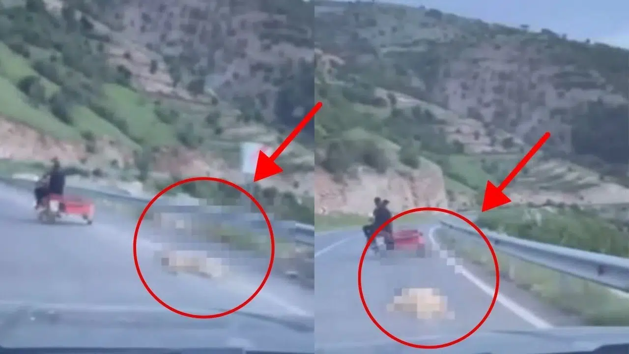 Kahramanmaraş’ta Köpeği Motosikletle Sürükleyen Şahıslar Tespit Edildi