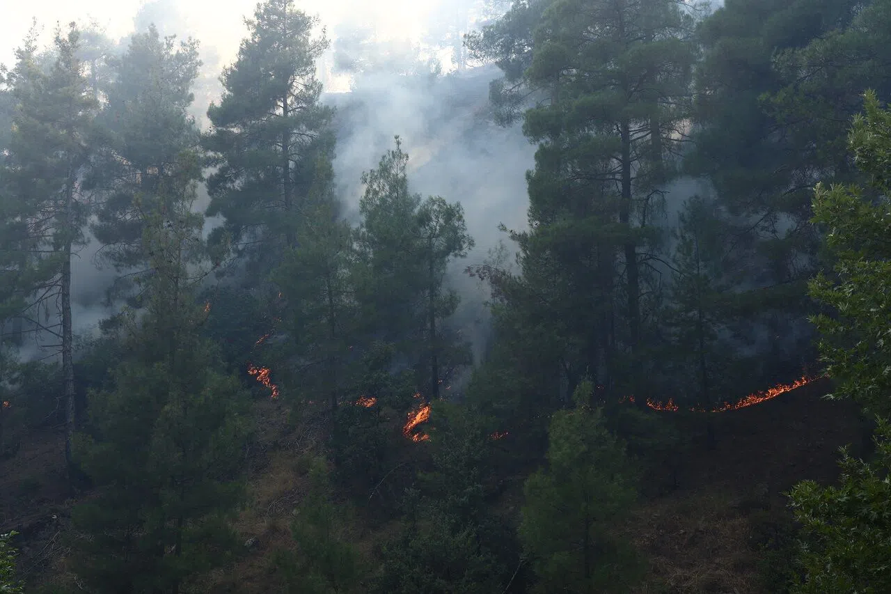 Kahramanmaraş Ayşepınarı’nda Orman Yangını