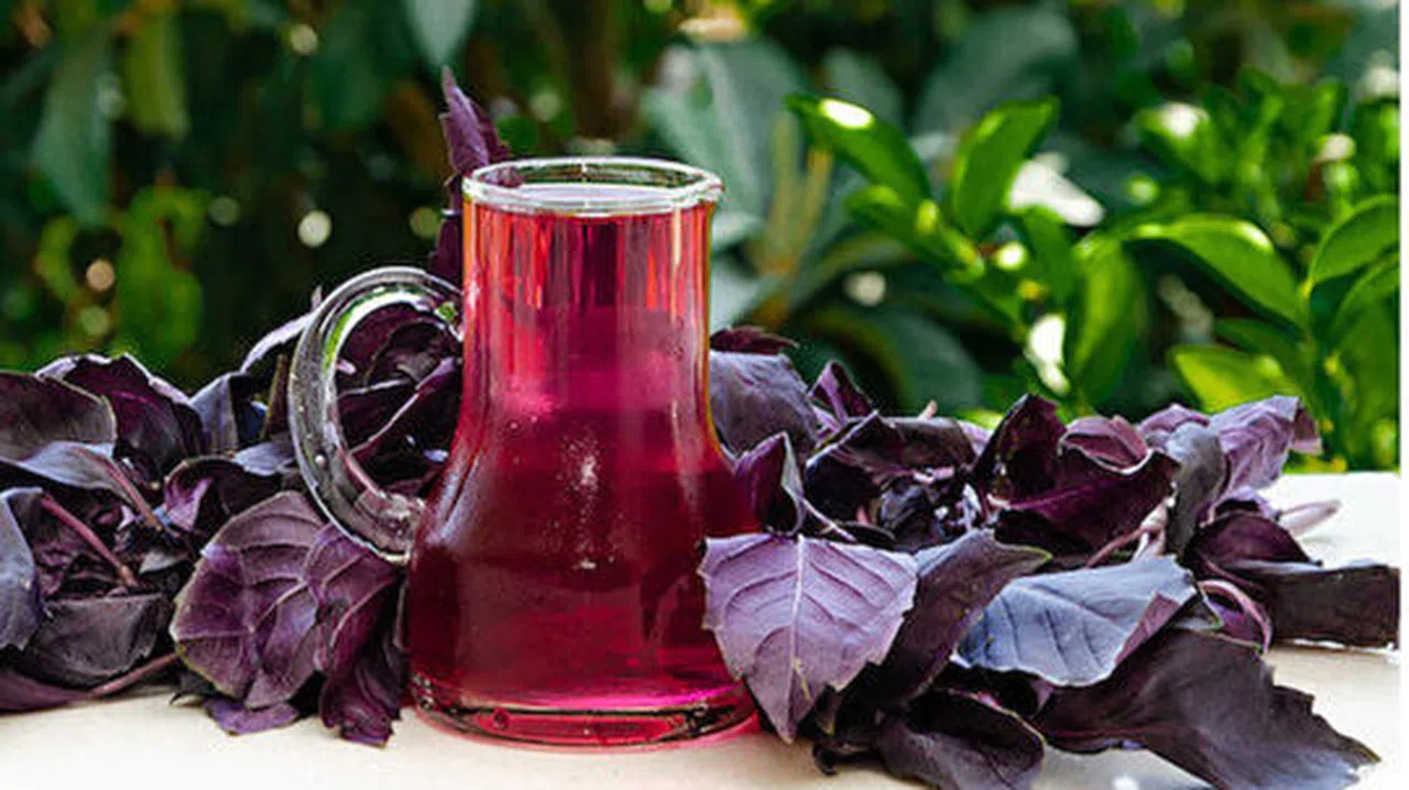 Kahramanmaraş'ta Reyhan Şerbetine Yoğun İlgi