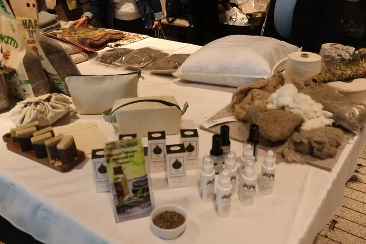 Kenevir, tekstilin sürdürülebilirliğinde kritik rol oynayacak