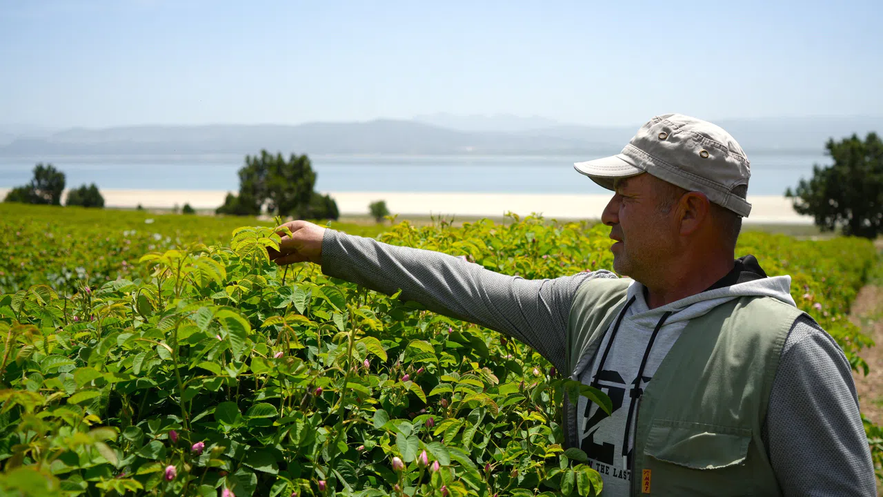 Küresel Isınma ve Don Üreticiyi Vurdu