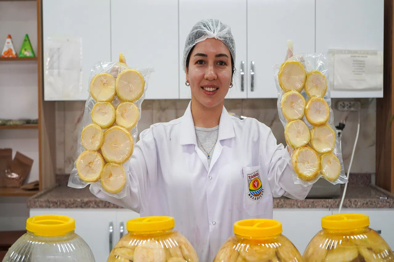 Meyve ve Sebze Paketleme Tesisi Hizmete Girdi