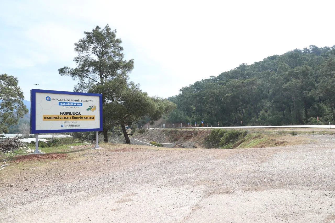 Narenciye Balına Coğrafi İşaret Geliyor