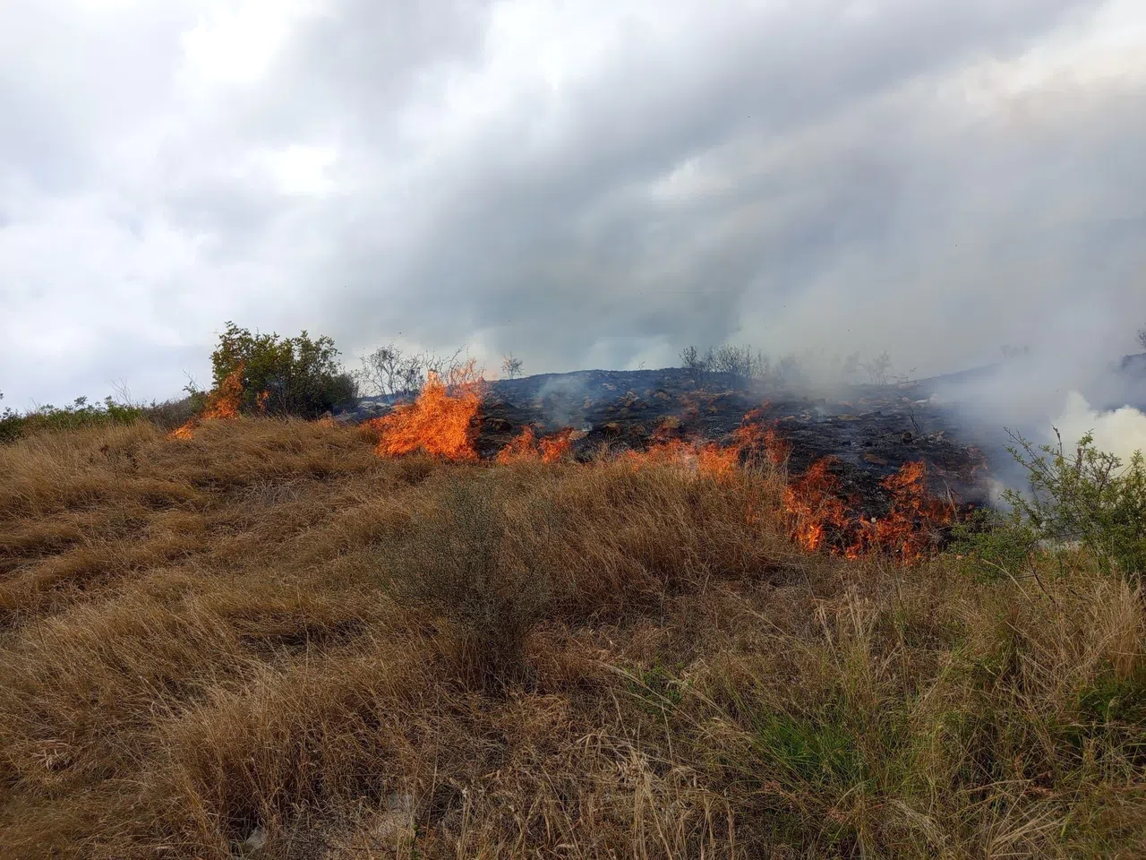 Otluk Alanda Çıkan Yangın Ormana Sıçramadan Söndürüldü