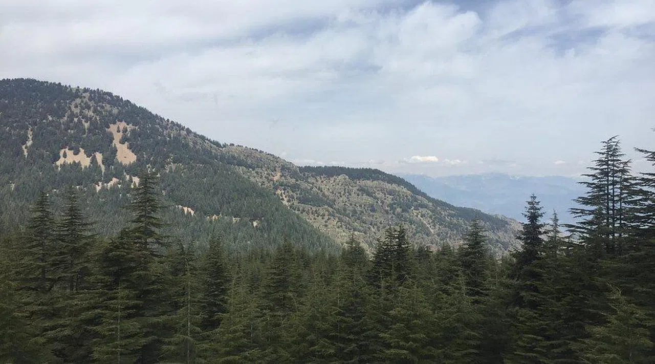 Yavşan Yaylası Doğal Miras Listesine Katıldı