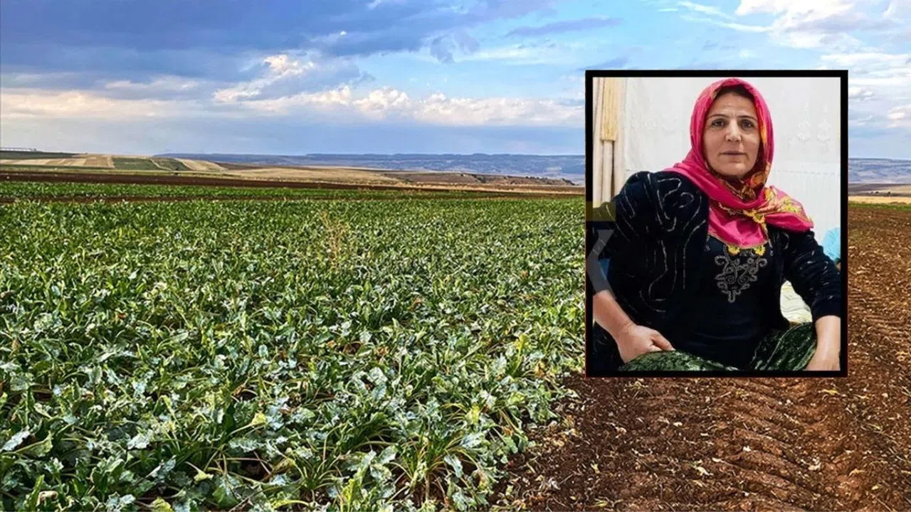 Kahramanmaraş’ta Tarlada Fenalaşan Kadın Hayatını Kaybetti