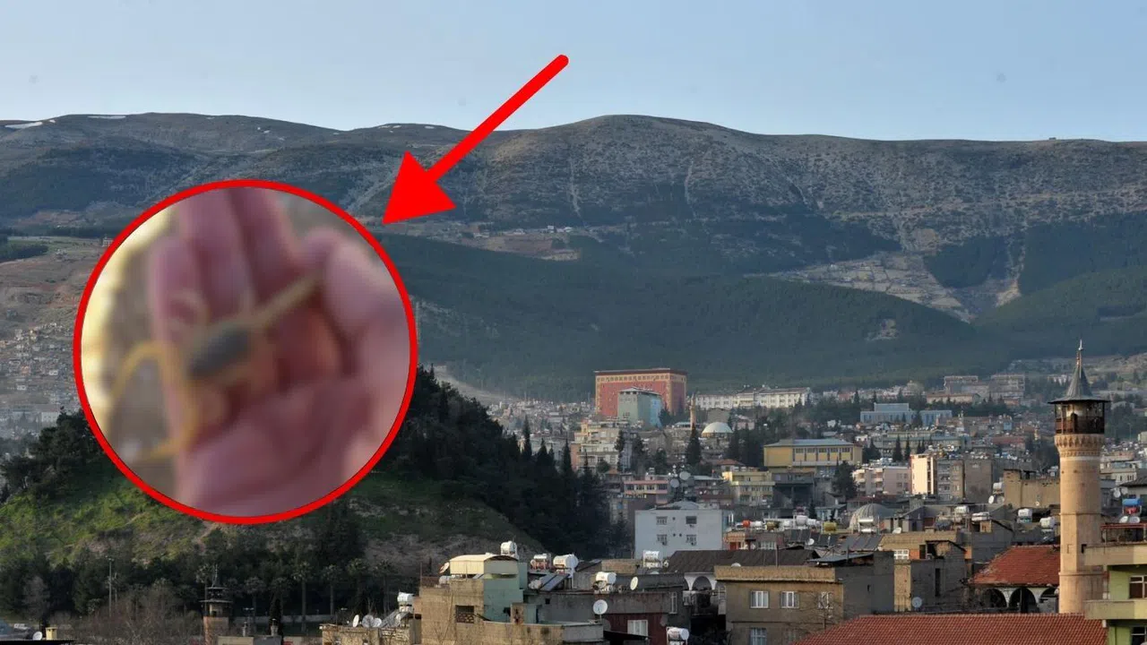 Kahramanmaraşlılar Dikkat Sıcak Havalarda Bu Tehlike Artıyor