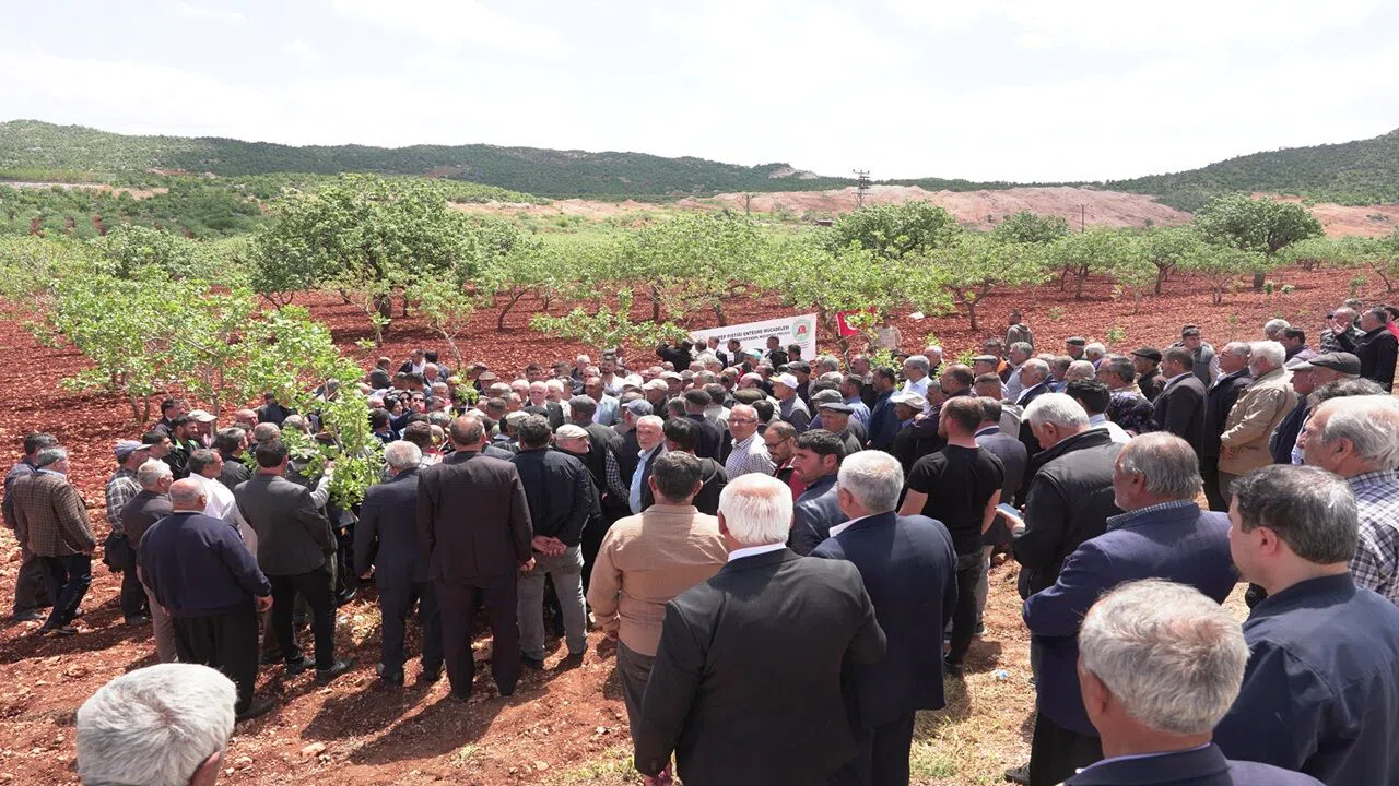 TZOB Başkanı Bayraktar,  Zirai Dondan Etkilenen Bahçeleri İnceledi