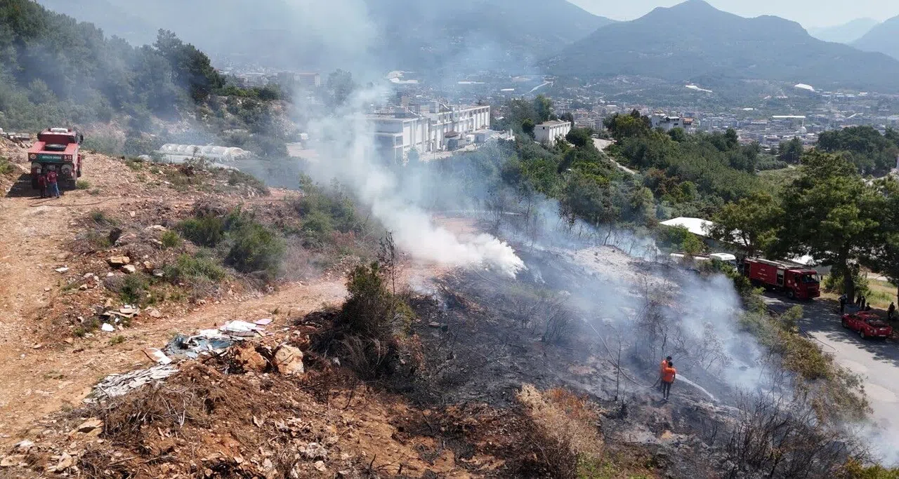 Yangın Ormana Sıçramadan Söndürüldü