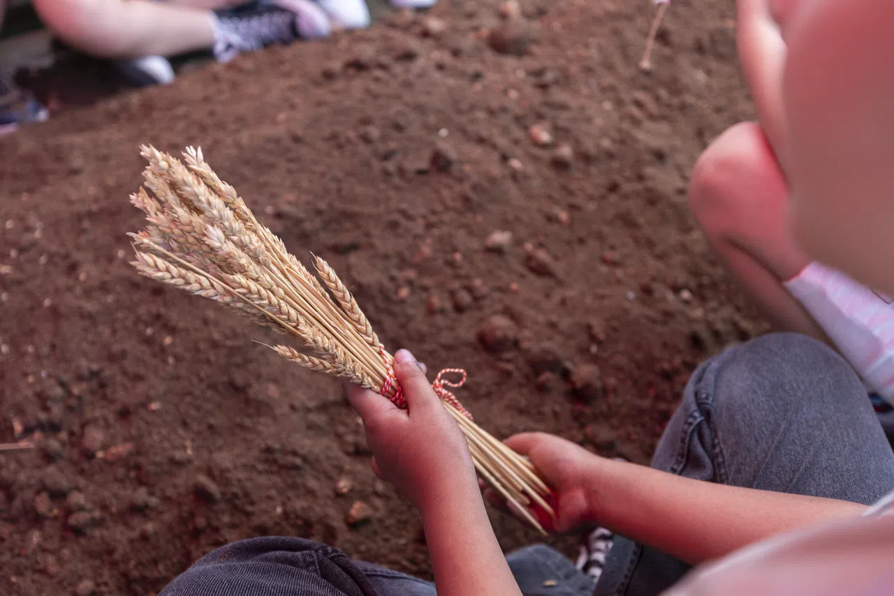 Yerel Ve Atalık Tohumlar Gelecek Kuşaklara Aktarılıyor