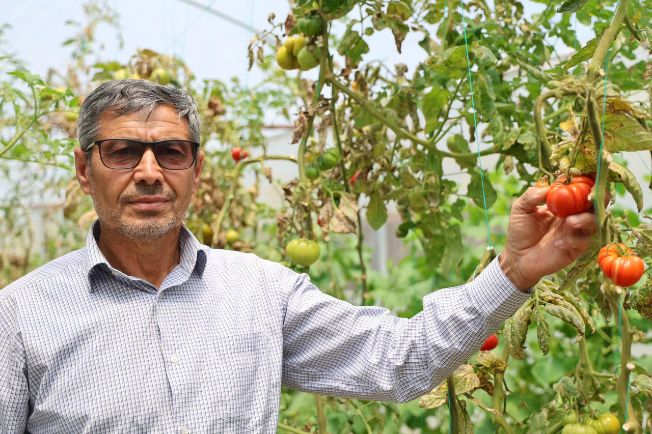 Yetiştirdiği Ürünleri, Satan Çiftçinin Yüzü Güldü