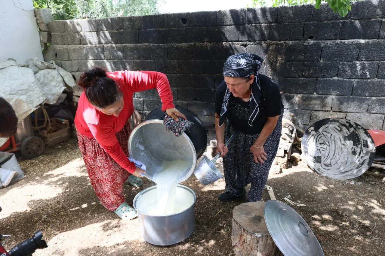 Yoğut Avrupa’da da Korunup Tanıtılacak