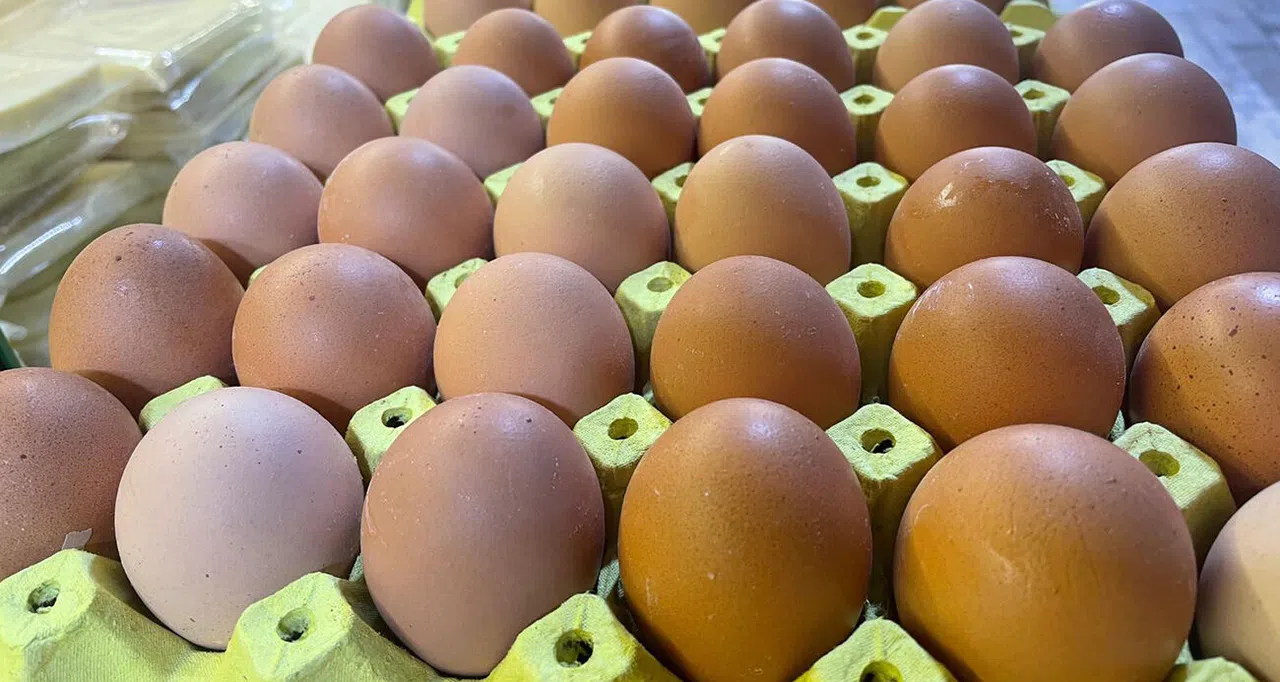 Yumurta kabuğu deyip geçmeyin sanayide çok değerli