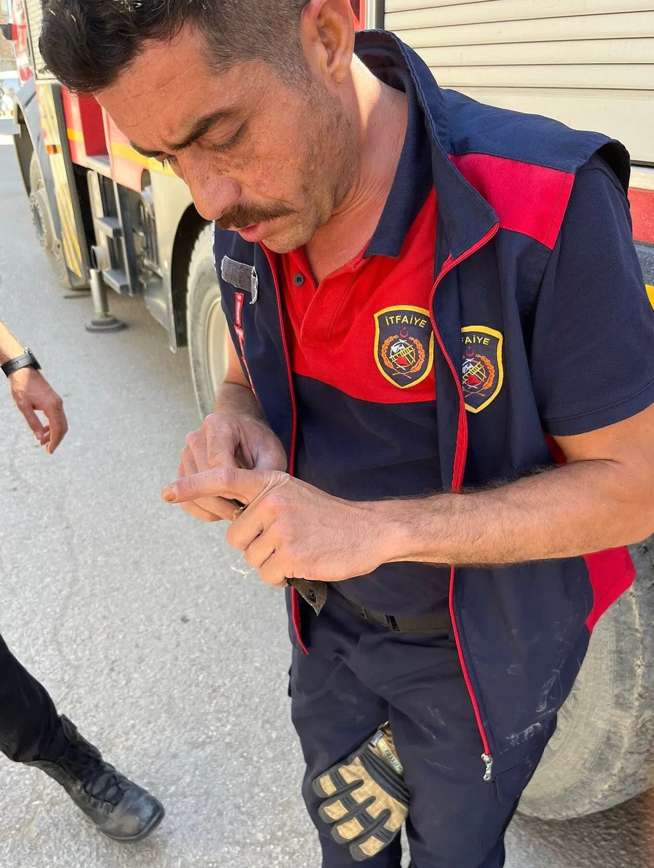 Ayağına İp Dolanan Kırlangıca İtfaiyeden Müdahale