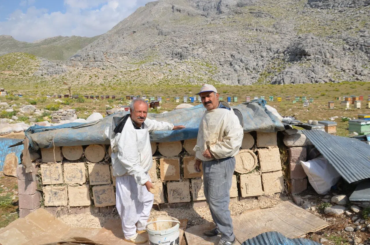 Arıcılar Kara Kovanlarını Yüksek Kesimlerdeki Yaylalara Çıkardı