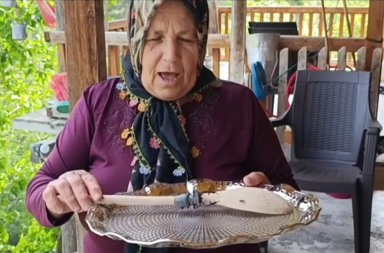 Parmak büyüklüğünde geyik böceği görüldü: Cezası 557 bin TL