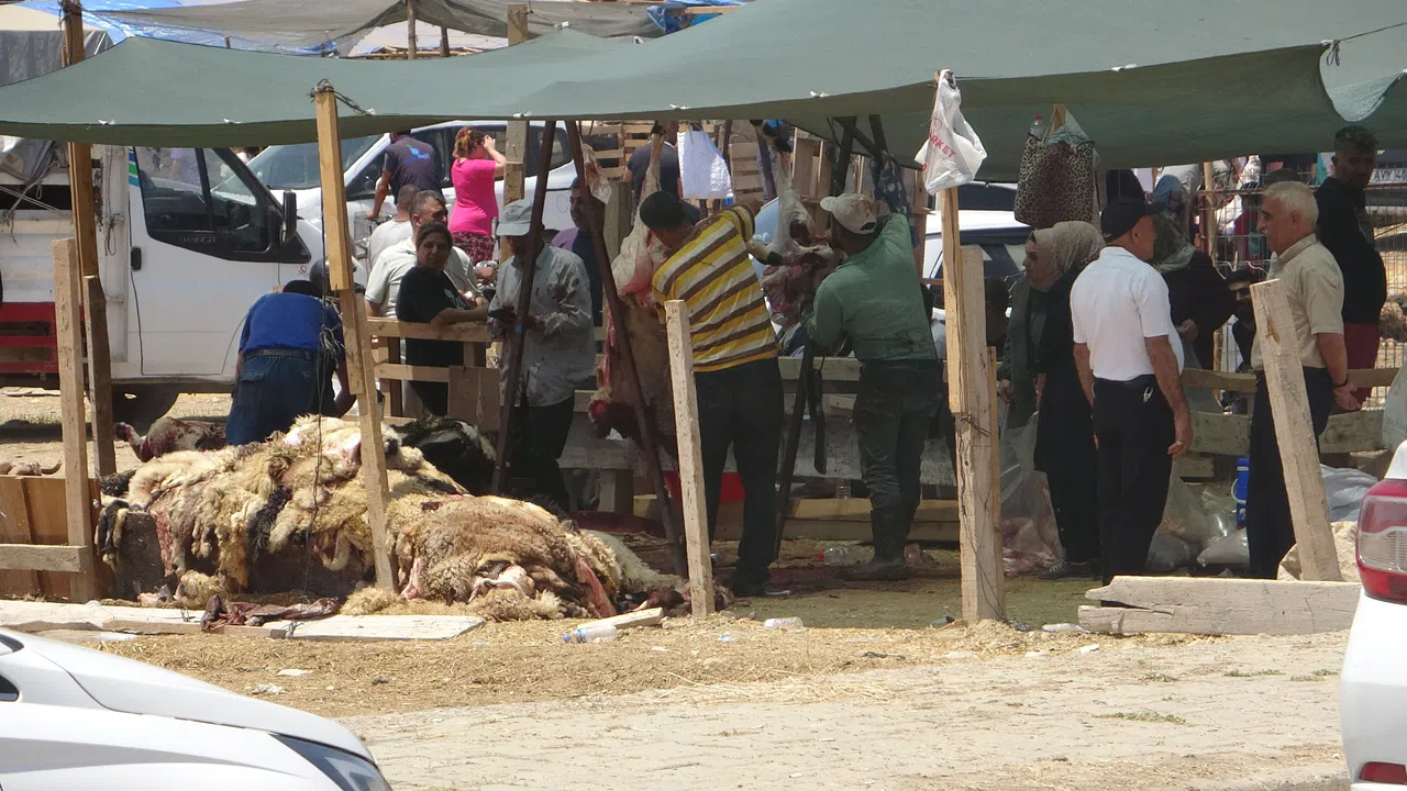 Kurbanlık Fiyatları Yüzde 40 Düştü