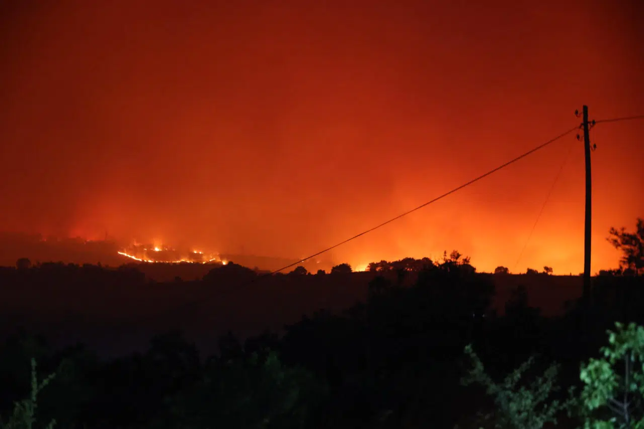 Bilecik’te korkutan orman yangını