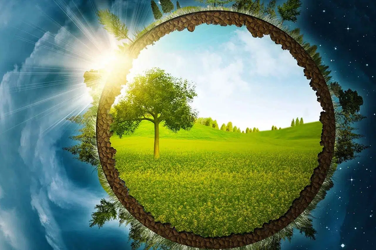 ÇED sürecinde yeni kriterler... Enerji ve madencilik projelerine yeni kurallar