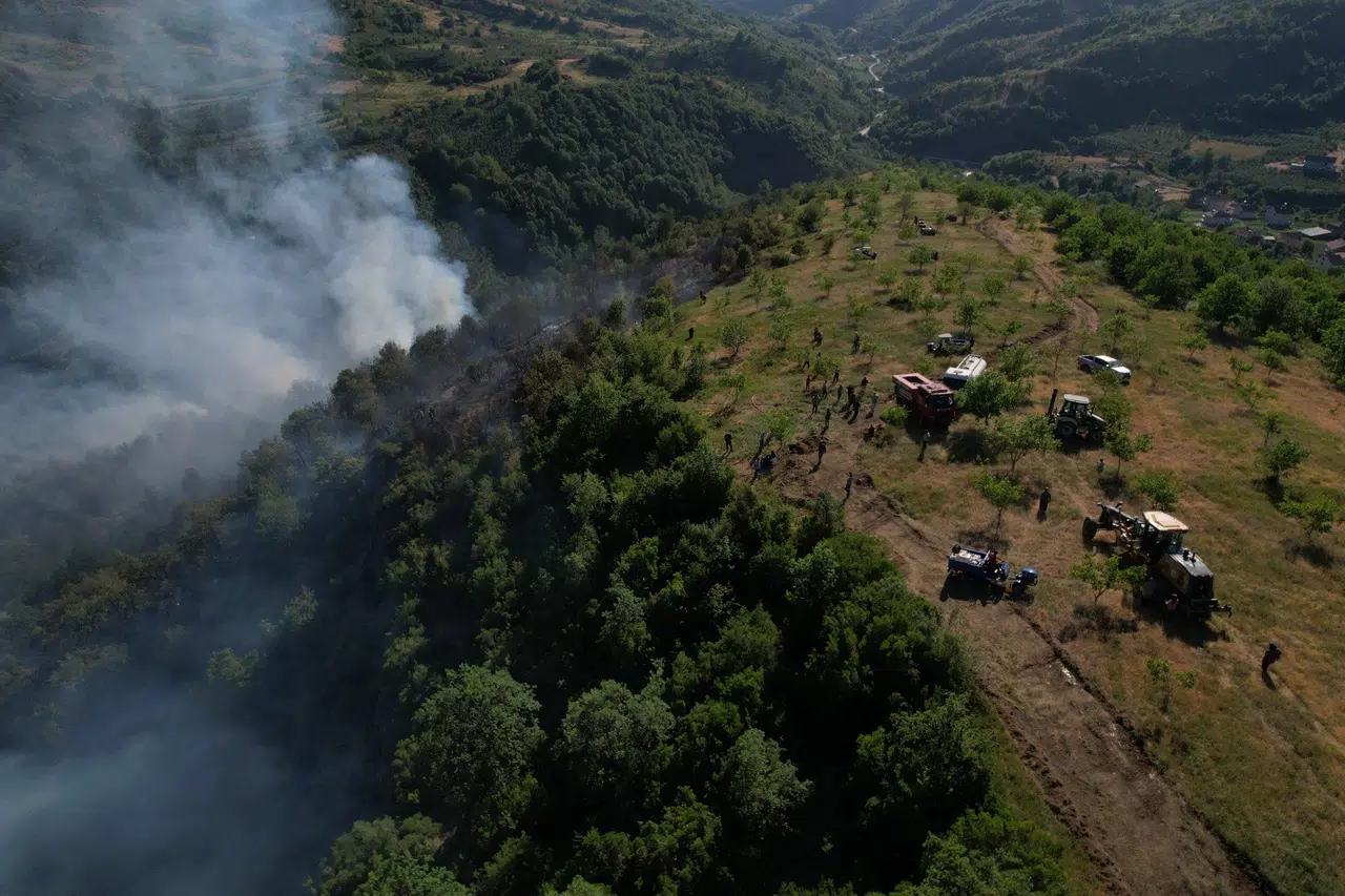 Düzce Yığılca’da orman yangını!