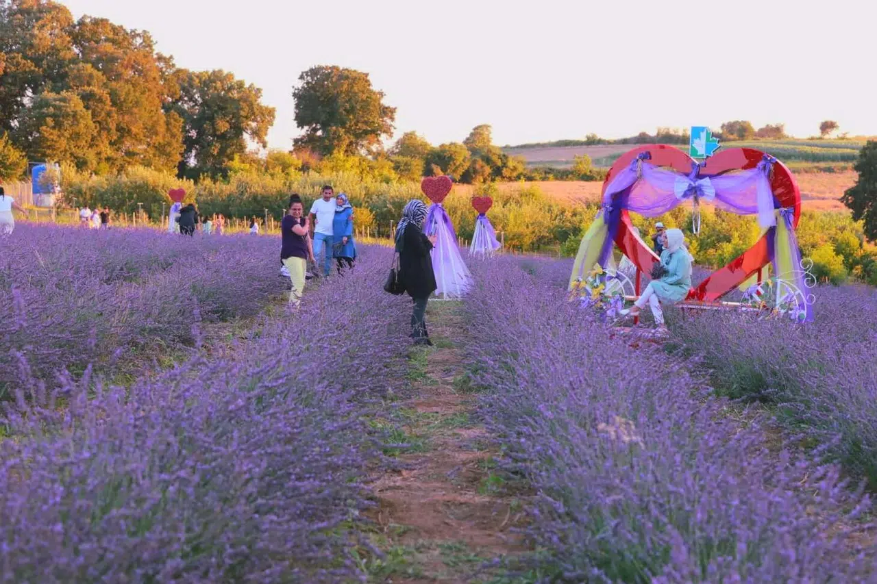 Lavanta kokusu İzmit’i saracak