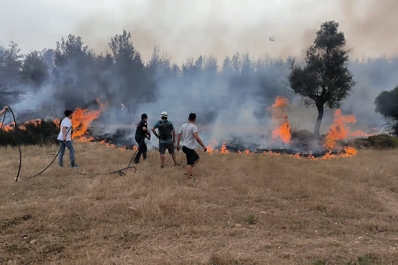 Muğla Büyükşehir ekipleri 6 Ayda 380 anız yangınına müdahale etti